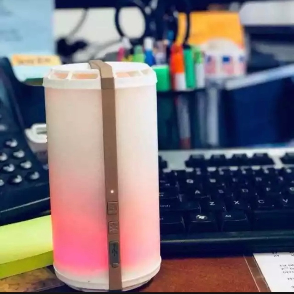 Scentsy Go - Rose Gold
